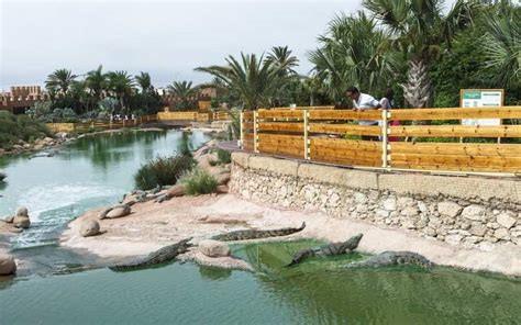 Excursion unique et enrichissante au Crocoparc d'Agadir